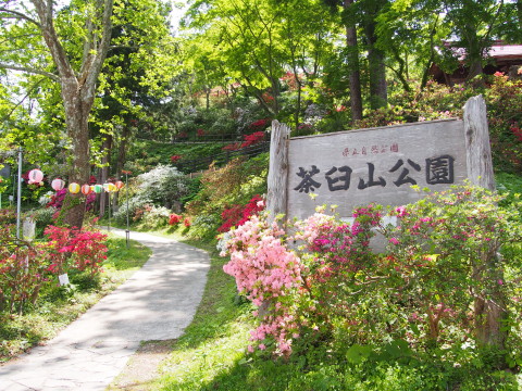 b0147224_21574448.jpg