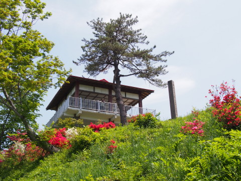 b0147224_21594429.jpg