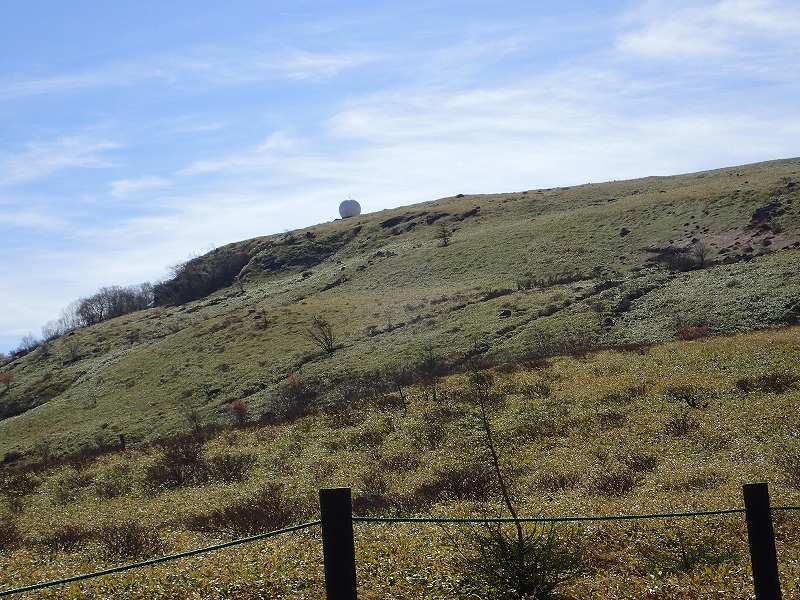 e0284726_2312829.jpg