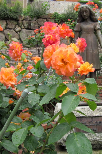 c0038434_18253253.jpg
