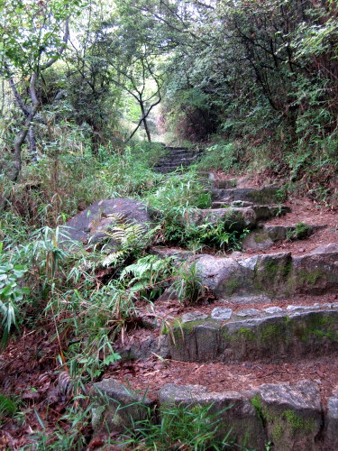 c0038434_18254847.jpg