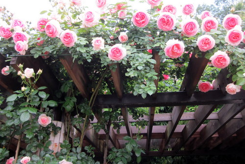 c0038434_18274997.jpg