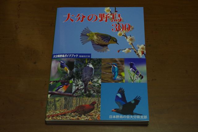 c0075539_2183999.jpg