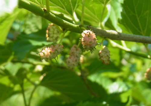 f0206939_020574.jpg