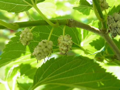 f0206939_0211498.jpg