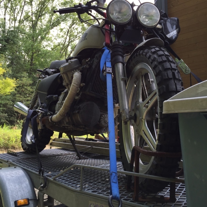 運命の再会 ああ たちごけ人生