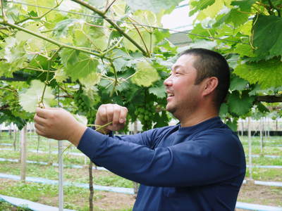 熊本ぶどう 社方園 袋かけ前の様子と満開のバラ_a0254656_18361385.jpg