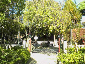 第四拾六（小石川) 白山神社　東京都文京区鎮座_a0057057_19193965.png