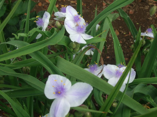 c0111557_1121873.jpg