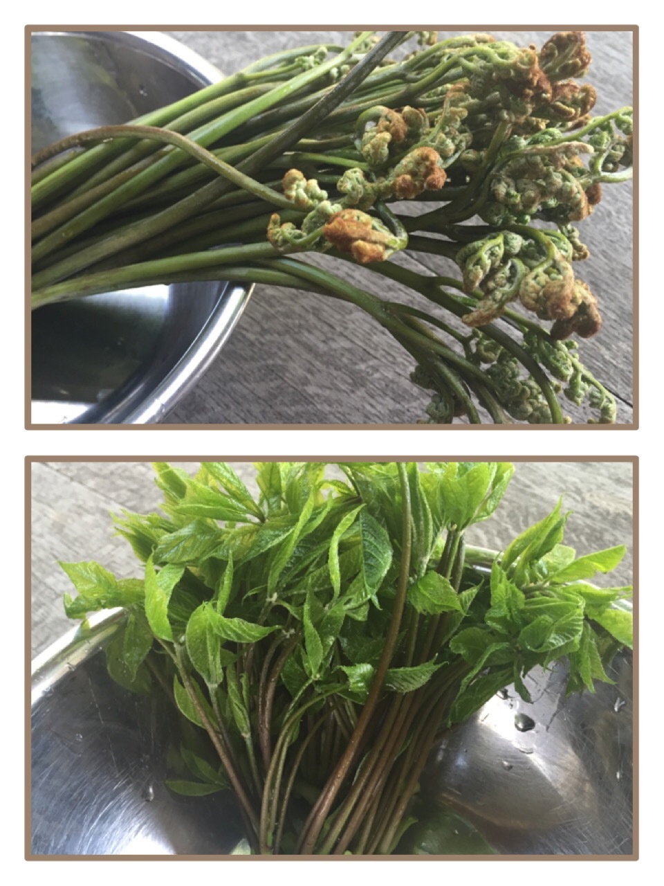 初夏の到来 山菜料理 わらび こしあぶら Coucou A Table クク アターブル