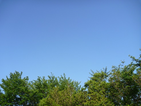 e0161972_8324992.jpg
