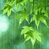 c0139375_10543139.gif