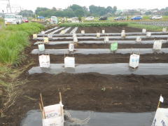 c0145581_04025.jpg