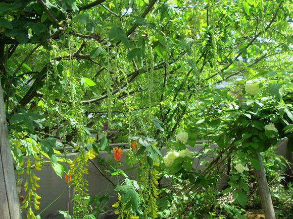 d0257890_103695.jpg