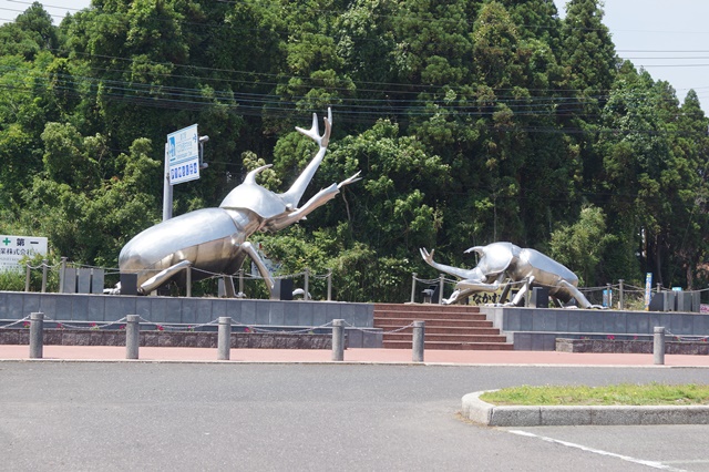 藤田八束の鹿児島の旅: 鹿児島志布志、鹿屋市を訪ねて・・・・お城の中にある学校　志布志小学校_d0181492_16495159.jpg