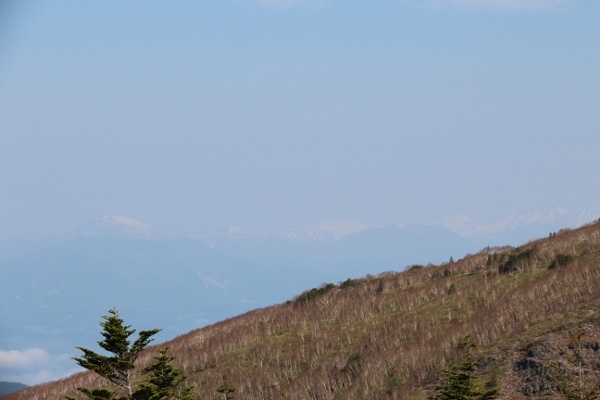 a0320601_11275948.jpg