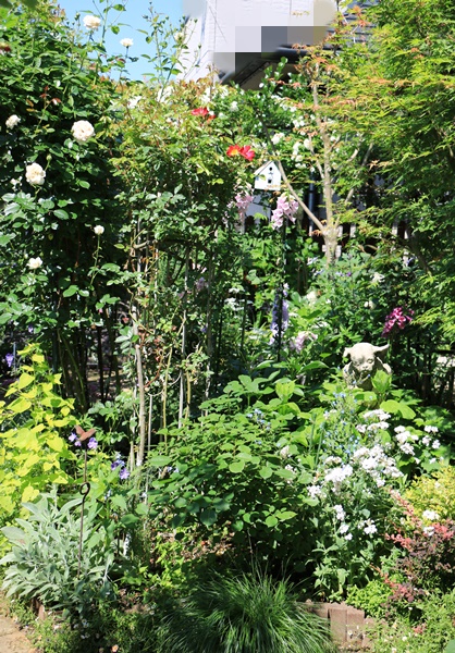 a0123003_2136483.jpg