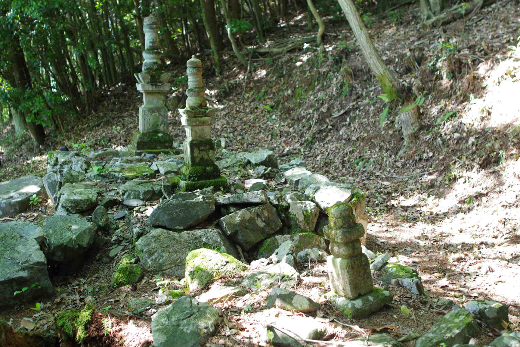 c0192503_20311010.jpg
