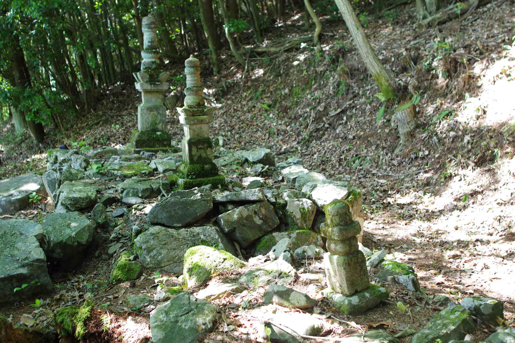 島根県　吉賀町教育委員会　森英恵　フラワーガーデン　・・・_c0192503_20311010.jpg