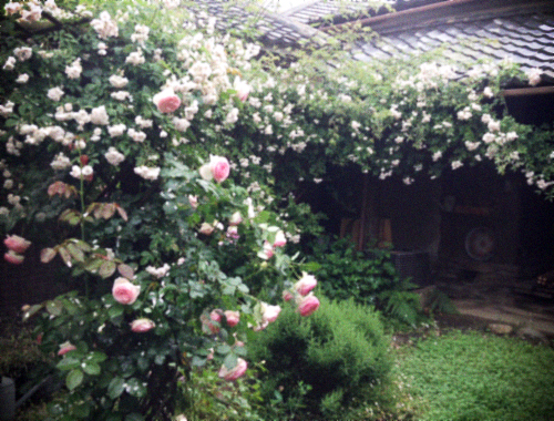 d0077603_10511355.jpg