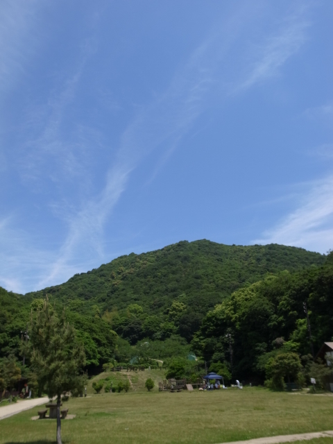 f0197703_1155453.jpg