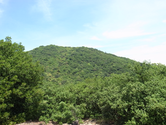 f0197703_12441459.jpg