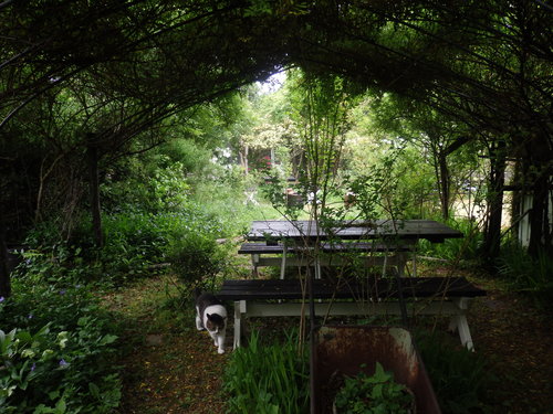 c0156104_22433010.jpg