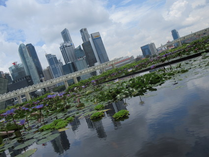 c0212604_2241482.jpg