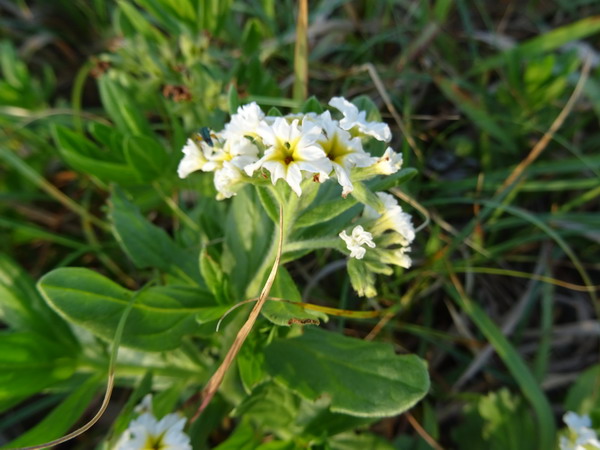 b0052108_22101374.jpg