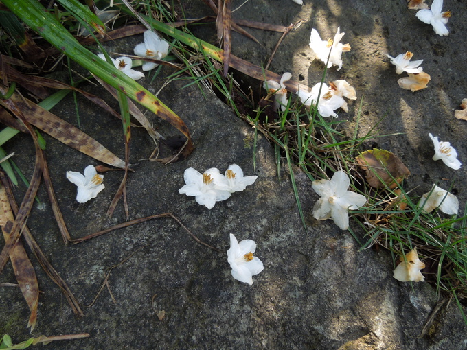 f0297809_2311081.jpg