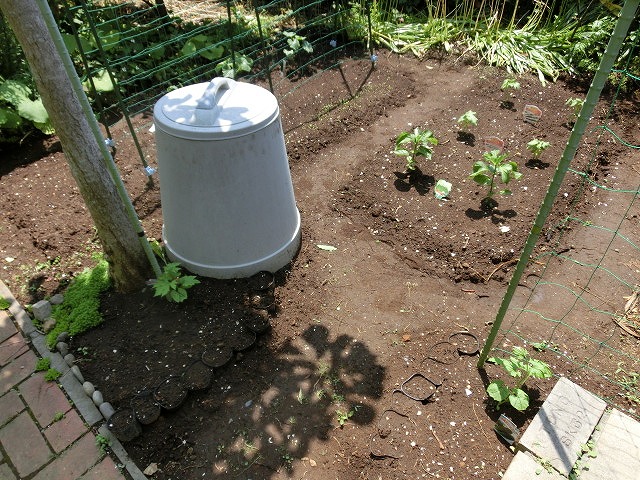 「土づくり」が心配だが、今年も野菜苗を植えた我が家のミニ菜園_f0141310_755094.jpg