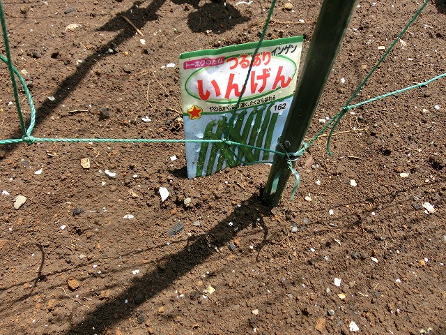 「土づくり」が心配だが、今年も野菜苗を植えた我が家のミニ菜園_f0141310_77233.jpg