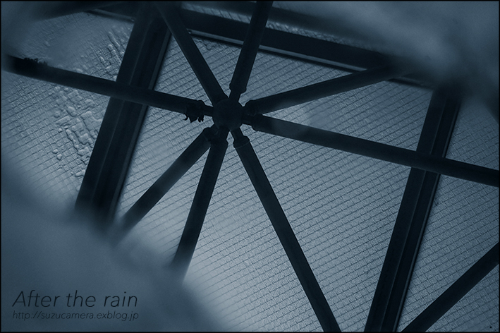 雨のち曇りのち晴れ_f0100215_19344249.jpg