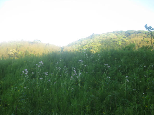c0085916_0114331.jpg