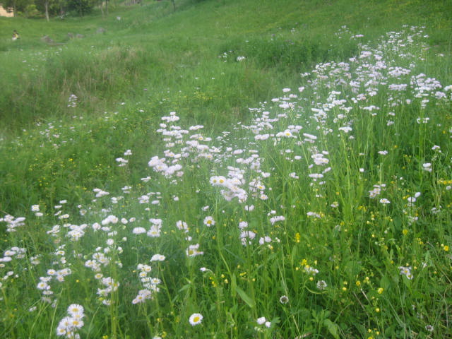 c0085916_0145686.jpg