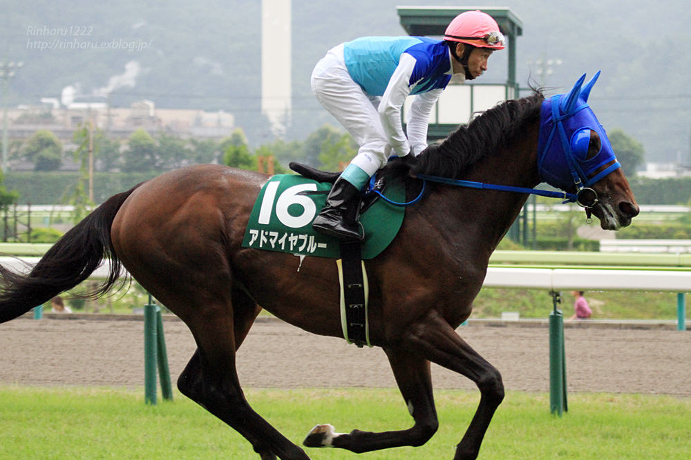 2014.7.13 福島競馬場☆アドマイヤブルー【Thoroughbred】_f0250322_20241814.jpg