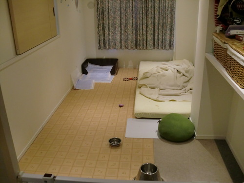 佐伯区 H様邸・内装工事_d0125228_5571986.jpg