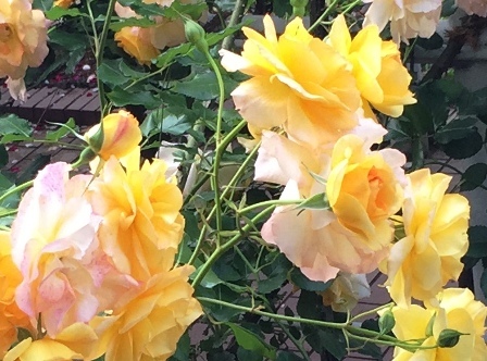 b0330040_00103184.jpg