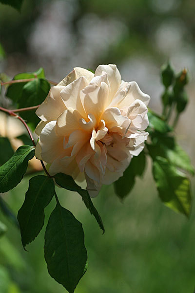 f0271343_08404665.jpg