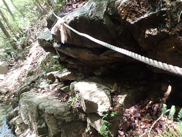 f0334143_8103236.jpg