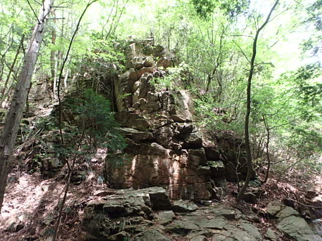 f0334143_814067.jpg