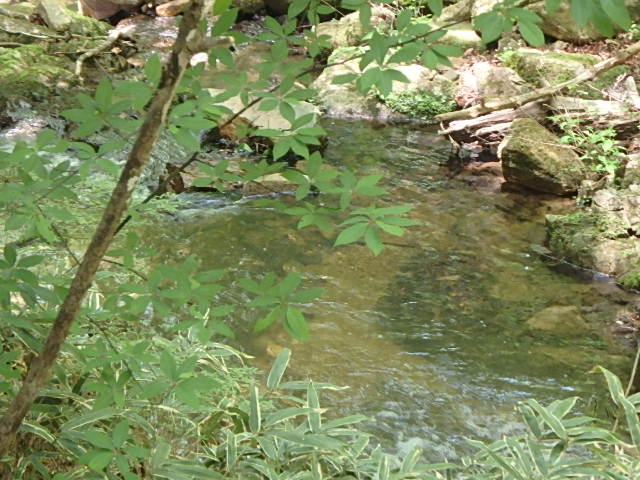f0334143_82299.jpg