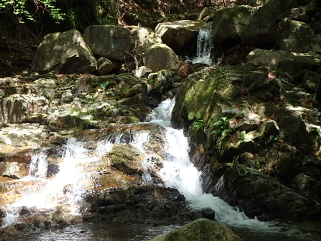 f0334143_82643.jpg