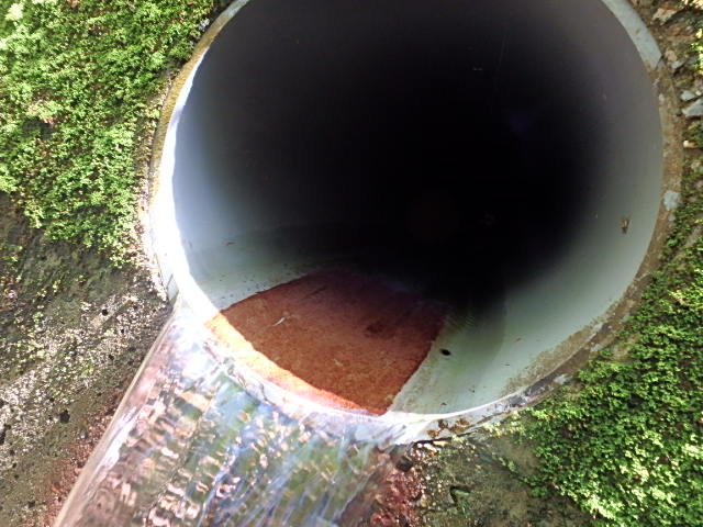 f0334143_834164.jpg