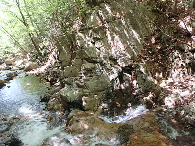 f0334143_844046.jpg