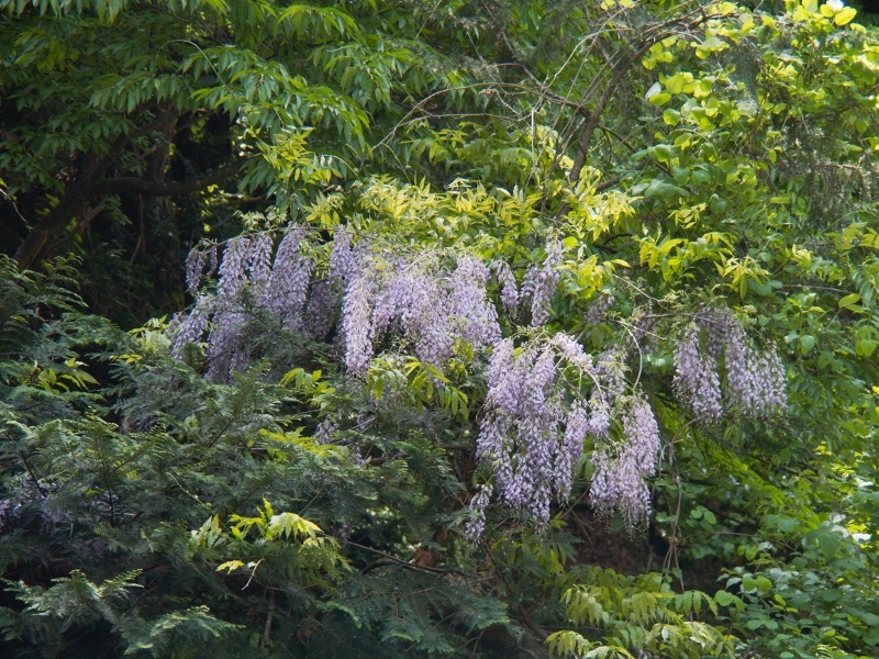 b0335256_14314062.jpg
