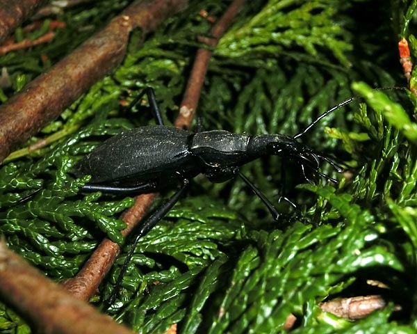 e0035757_21483.jpg