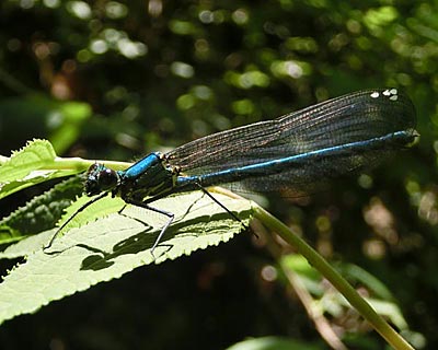 e0035757_2154890.jpg