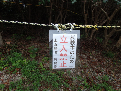 c0117762_12281749.jpg
