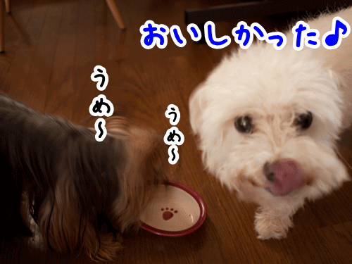 e0248268_01553313.gif